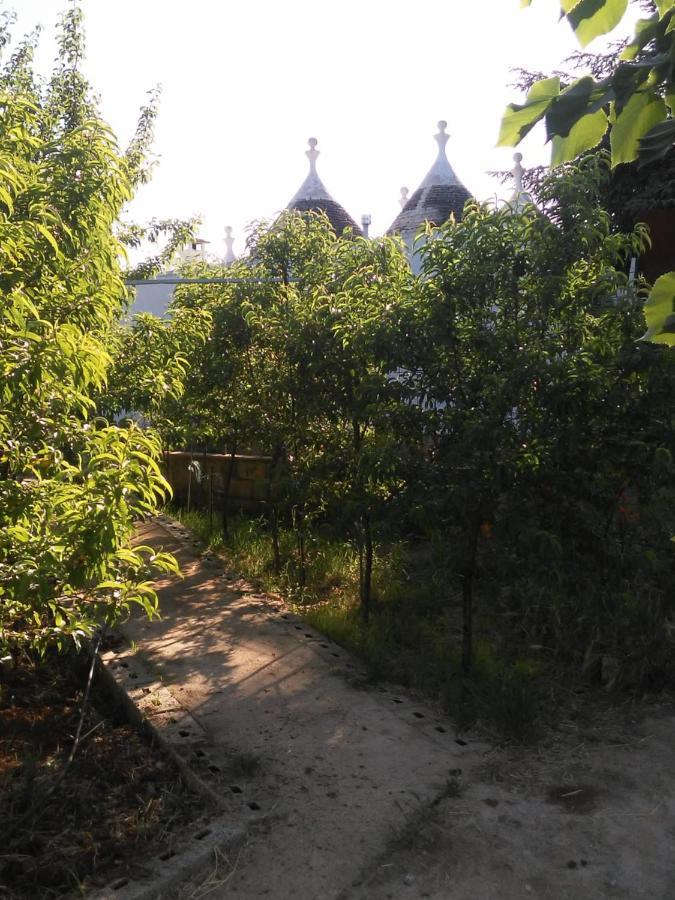 Trullo Francisco Guest House มาร์ตินาฟรังกา ภายนอก รูปภาพ